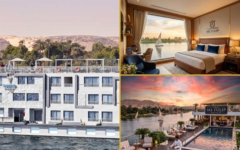 Luxury MS Tulip Nile Cruise