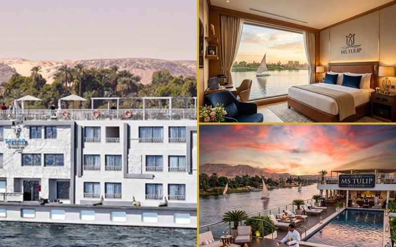 Luxury MS Tulip Nile Cruise